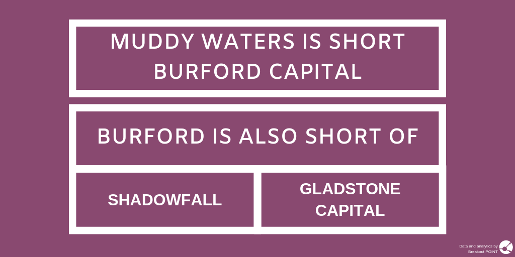New Burford Capital Short by Muddy Waters